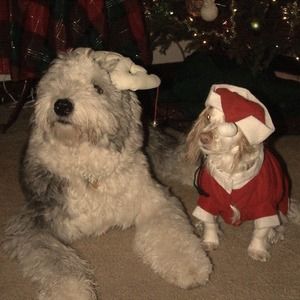 Meet your Posher, Nancy